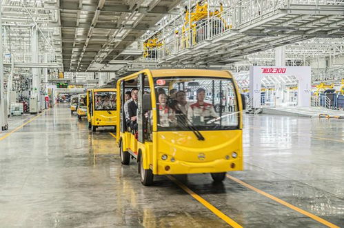 先看后試再下單，長城汽車工廠直銷特賣會狂收訂單572臺