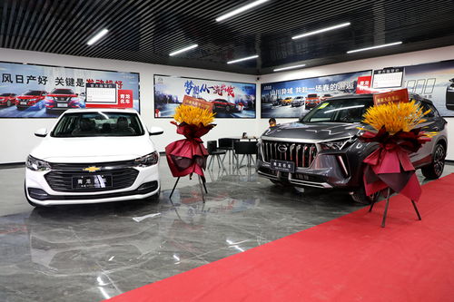 忻城汽車新地標(biāo)！青龍車行元旦盛大開業(yè)，打造一站式汽車銷售綜合體